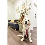 Prima & Hof - Digitales & Rezeptionsloses ノイルピーン