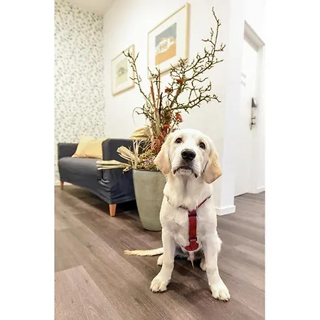 Prima & Hof - Digitales & Rezeptionsloses نيوروبين