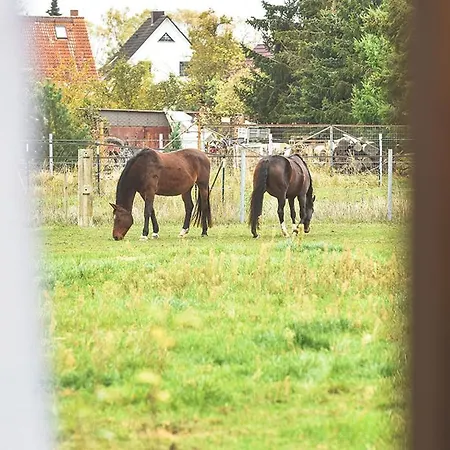 فندق مبيت وإفطار Prima & Hof - Digitales & Rezeptionsloses نيوروبين