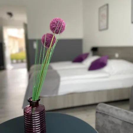 Prima & Hof - Digitales & Rezeptionsloses