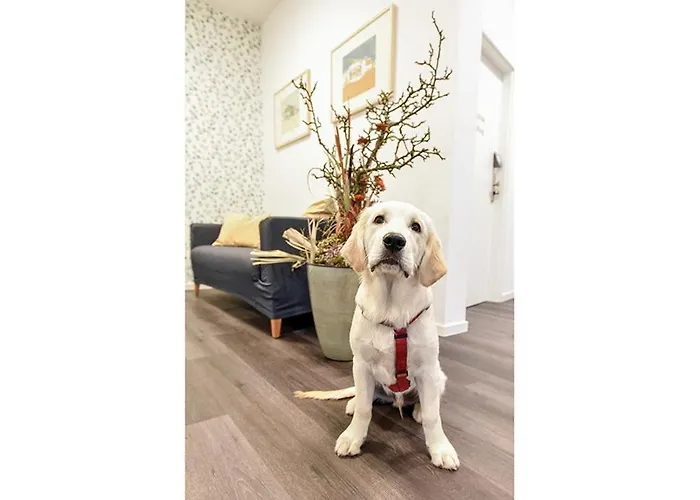 Prima & Hof - Digitales & Rezeptionsloses Neuruppin