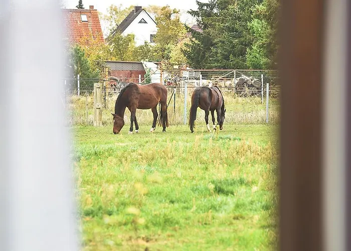 Bed & Breakfast Prima & Hof - Digitales & Rezeptionsloses Neuruppin